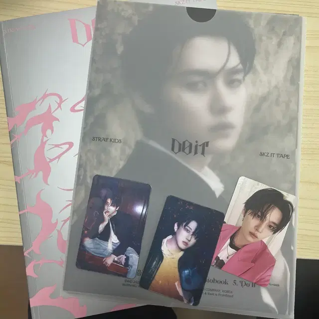 스트레이키즈 SKZ Do It 앨범 + 포토카드