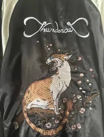 thundercat 스카잔