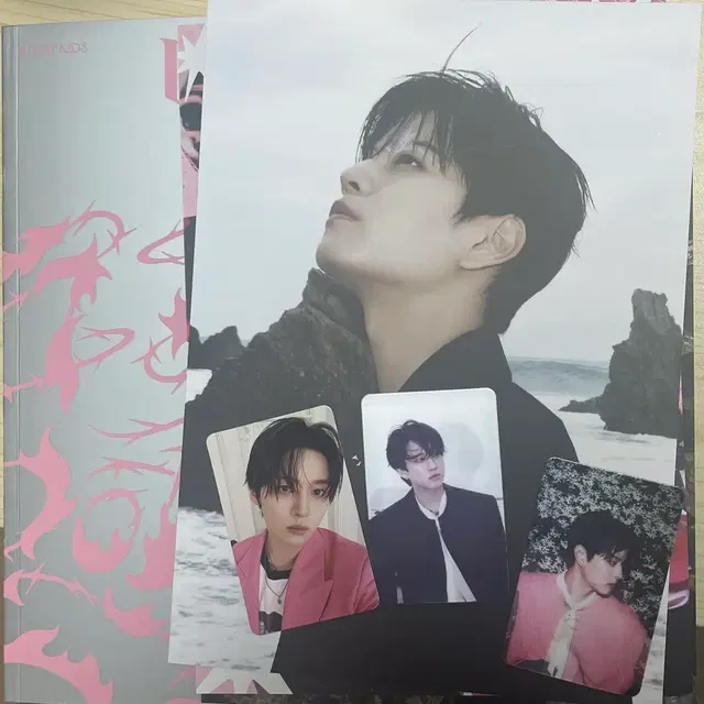 스트레이키즈 SKZ Do It 앨범 + 포토카드