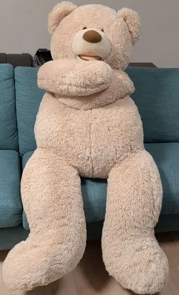 코스트코 곰인형