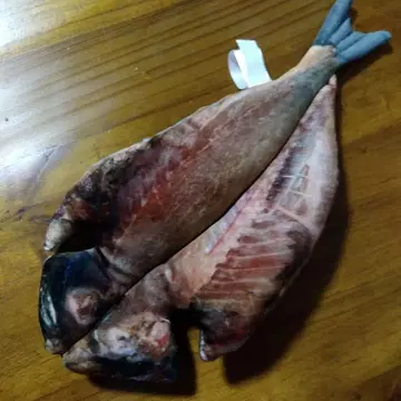 이토 마린타운 한정판 전갱이 구이 복권