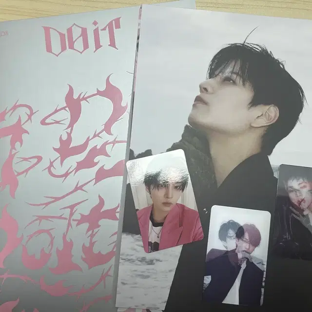 스트레이키즈 SKZ Do It 앨범 + 포토카드