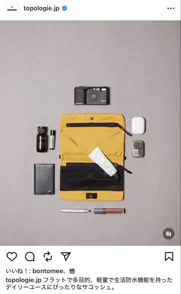 topologie Flat Sacoche Small