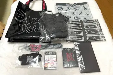 Stray Kids 스키즈 dominATE 업그레이드 특전 컴프