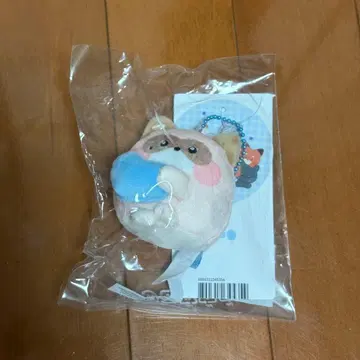 zeroni  하니니 fluffy 팝업