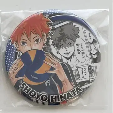 하이큐 히나타 쇼요 캔뱃지 컬렉션 HEROES
