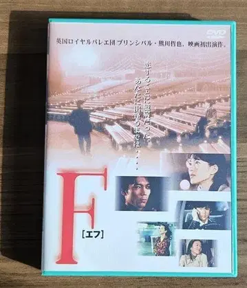 DVD F [에후] 하네다 미치코 / 쿠마카와 테츠야