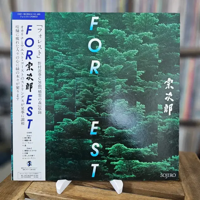 오카리나 연주자 소지로(Sojiro)의 뉴에이지 포레스트 컨셉 앨범 LP