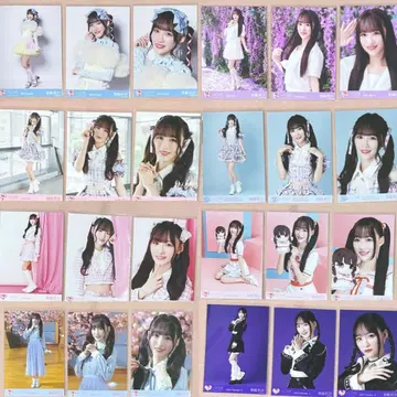 이코럽 오토시마 리사 브로마이드 8컴프 묶음 판매