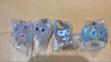 주얼펫 세미 컴플리트 세트