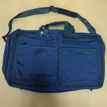 사자비 보스턴 백