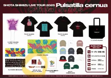 시미즈 쇼타 TOUR 2025 스티커 세트
