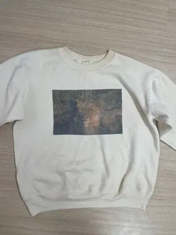 Hanes 빈티지 맨투맨