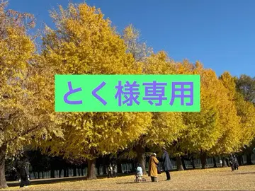 소년 야구 스파이크 미즈노 (MIZUNO) 22.0cm 새상품급 미사용