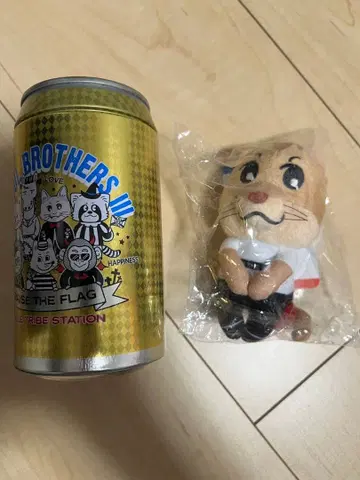 제3대 J Soul Brothers 이와타 타카노리 춋코리상