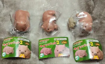 가챠 웜뱃2 쌔근쌔근 테쿠테쿠 토코토코 3종 세트