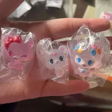 주얼펫 메지루시 액세서리