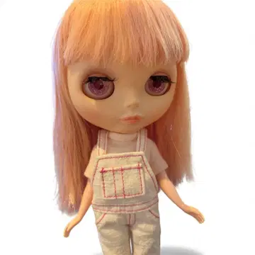 브라이스 네오 브라이스 커스텀 완료