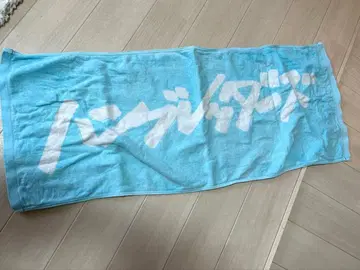 함브레더즈 타월