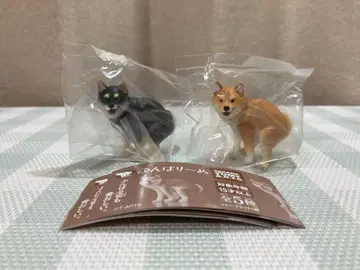 새상품 펀바리~누 펀바리누 시바견 블랙 시바