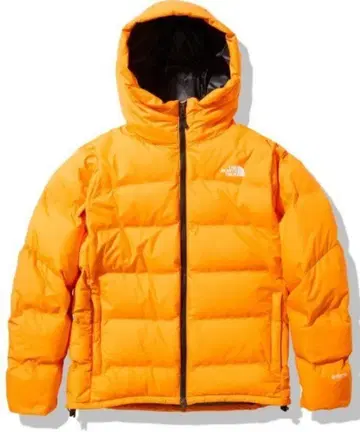 THE NORTH FACE GORE-TEX BELAYER PARKA