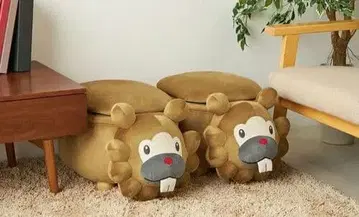 비버 스툴 수컷 모습 미개봉