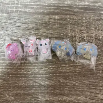 주얼펫 메지루시 액세서리 5개 세트