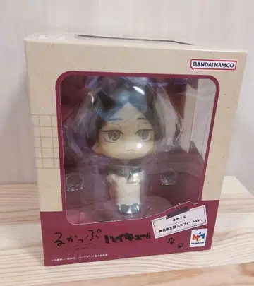 하이큐!! 룩업 스나 린타로