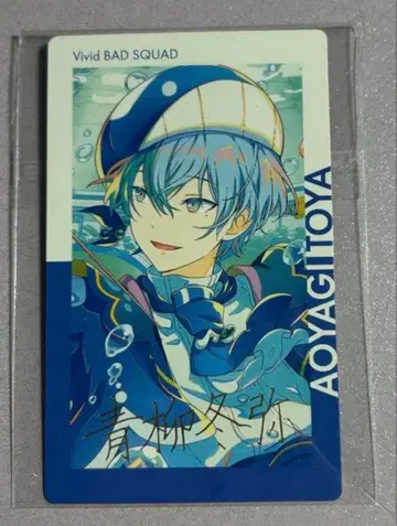 아오야기 토야 에피카 23C 금박