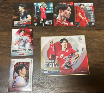 배구 남자 일본 대표 세키타 세이타