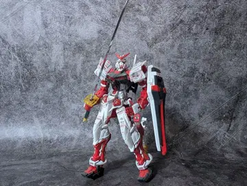 기동전사 건담 RG 1/144 건담 아스트레이 레드 프레임