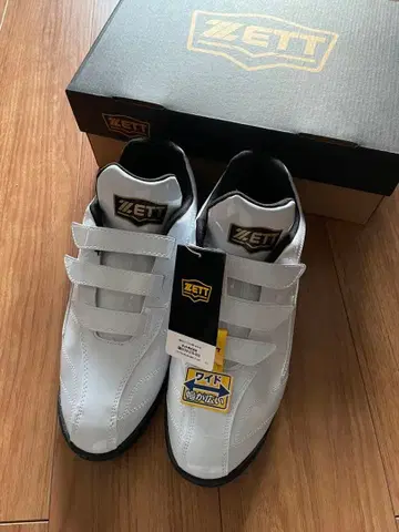 제트 ZETT 야구 트레이닝 슈즈 라피엣 BSR8017G