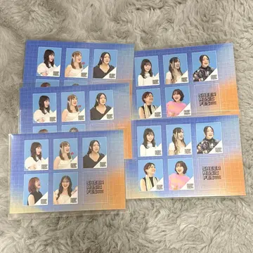 시어 뮤직 페스티벌 2025 autumn 증명사진풍 스티커