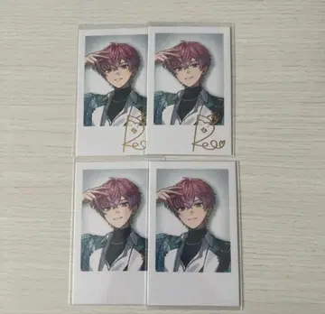 니지산지 스메라기 레오 폴라로이드