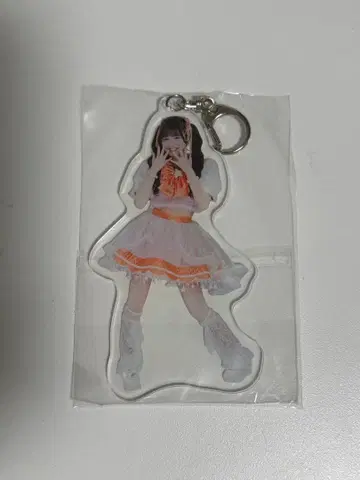 히비니코리 아크릴 키링