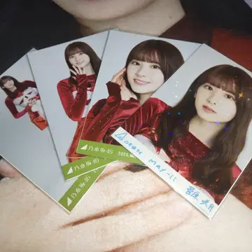 노기자카46 스가와라 사츠키 노기코레 컴프 브로마이드