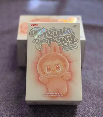 Energy into Energy 러브브 정품 미개봉 새상품