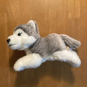 리얼 도그 컬렉션 REGAL 허스키 개 봉제 인형