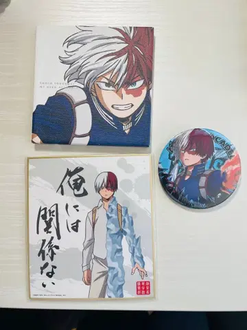 토도로키 쇼토 캔뱃지 세트