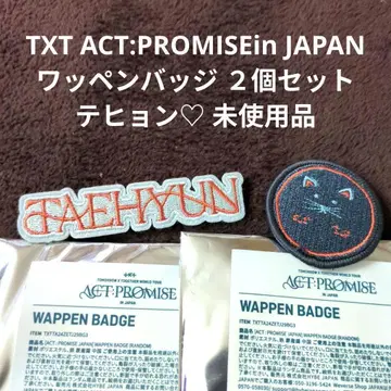 TXT ACT:PROMISE in JAPAN 와펜 배지 태현