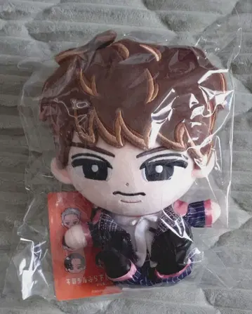 무카이 코지 스노우 칠드런 매달리지 않는 시리즈