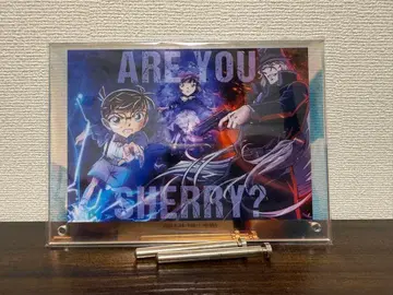 극장판 블랙 철의 어영 명탐정 코난 아크릴 보드 스탠드