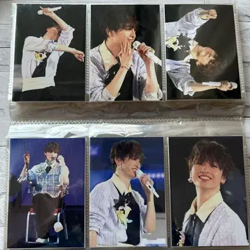 타마모리 유타 사진 3