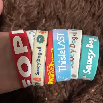 Saucy Dog 러버 밴드 6개 세트