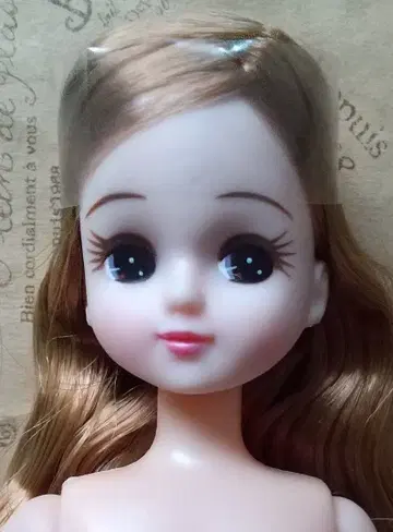 리카 비쥬 라이더스 큐트 리카짱 인형 본체