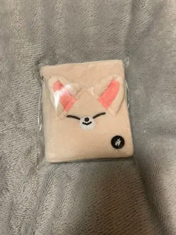 Straykids 사진 카드 케이스 아이엔 폭시니 트레이딩 카드 케이스