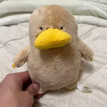 웜뱃 씨들 봉제 인형