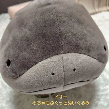 포켓몬 봉제 인형 두오 엄청 폭신폭신 봉제 인형