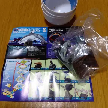 네이처 테크니컬러 해유관 뮤지엄 카마돌고래