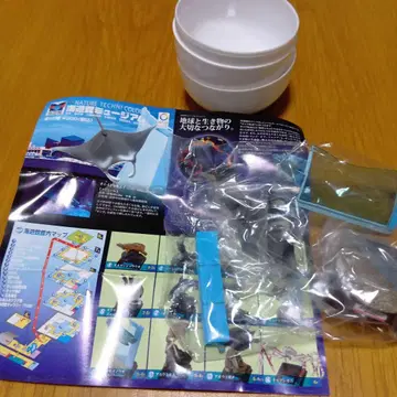 NATURE TECHNI COLOR 카이유칸 뮤지엄 쥐가오리